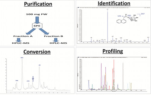 Profiling and identification of metabolites in plants